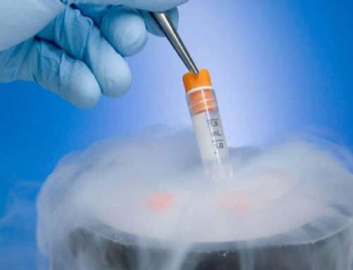 Cryogenic Fluid Handling: Nitrogen Fill Stations